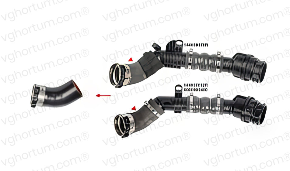 VG8646.jpg Renault Captur II Renault Clio V Renault Kangoo Renault Kangoo | Grand Kangoo II Renault Kangoo III Renault Mégane IV - Görsel 1