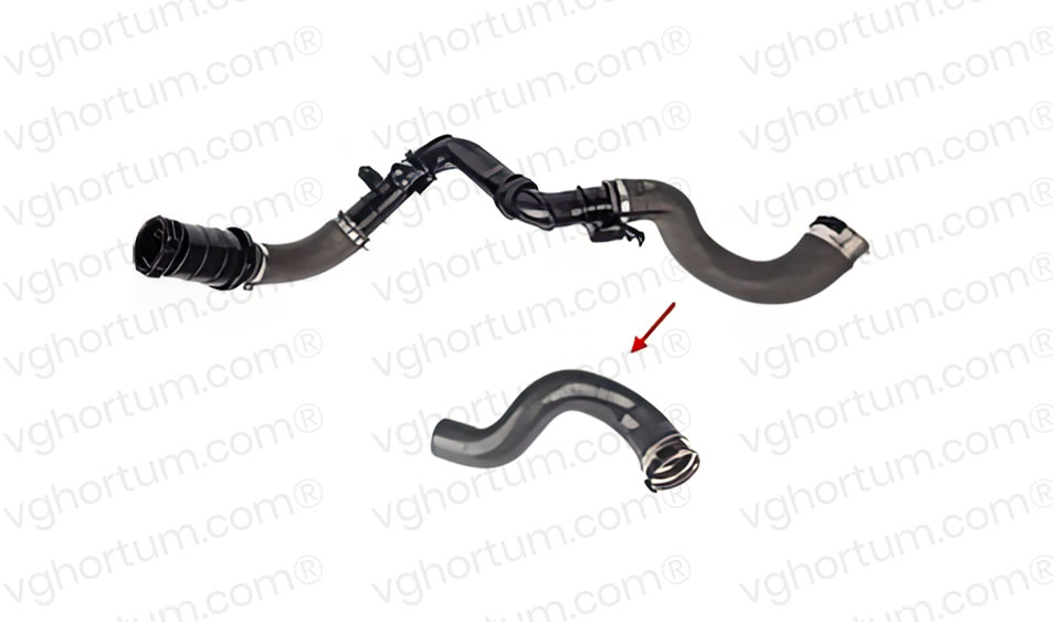 VG9441.jpg Fiat Talento - Görsel 1